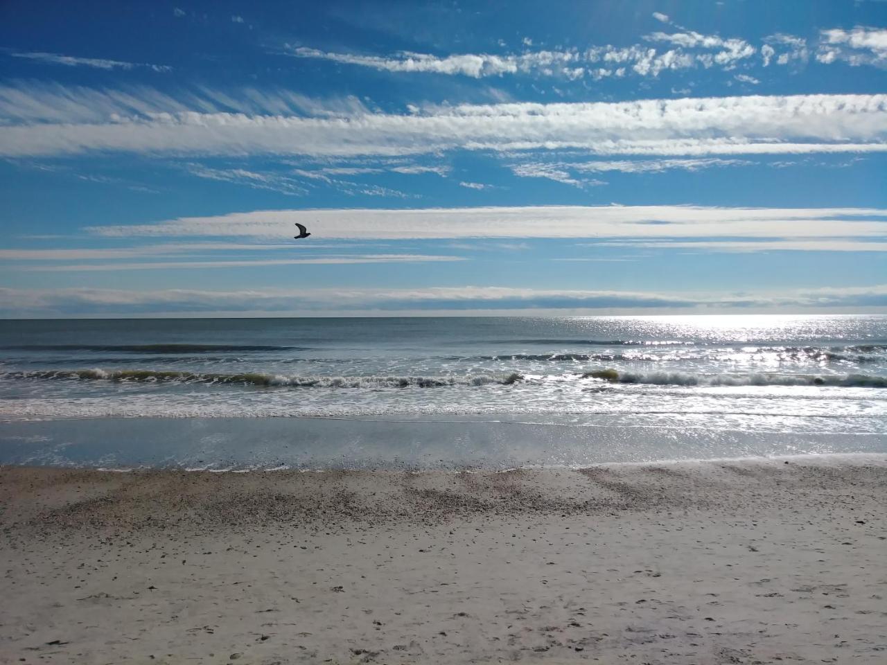 Palms Resort Myrtle Beach Eksteriør bilde